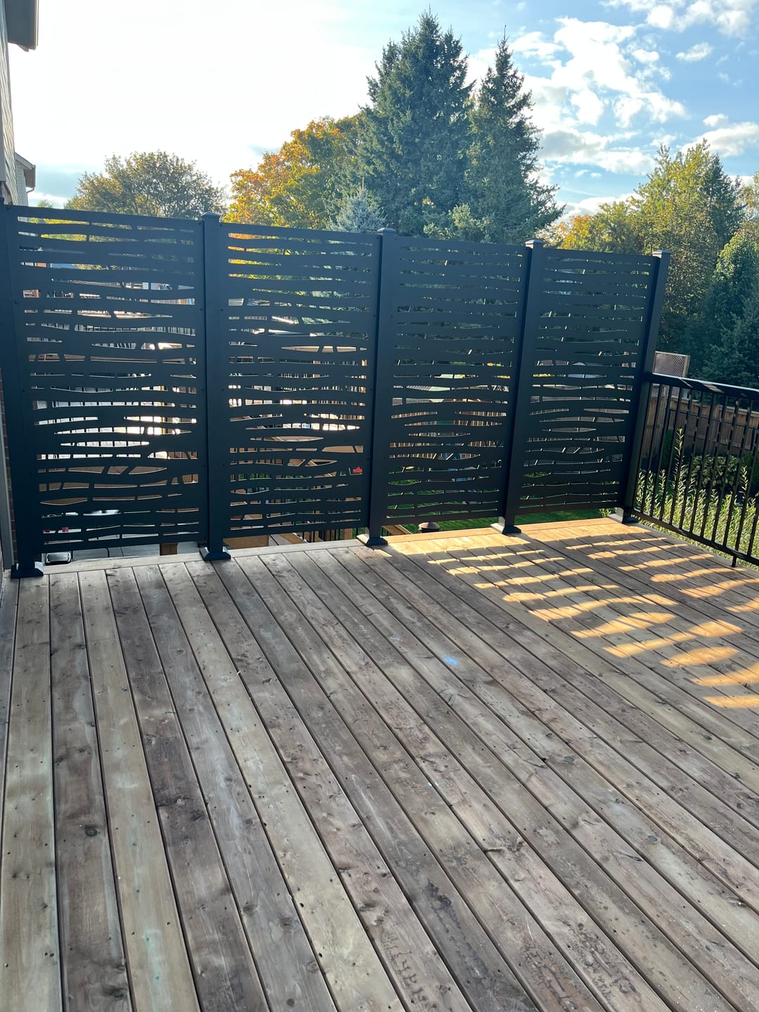 Customer photo review of Privacy Screen (Branch)