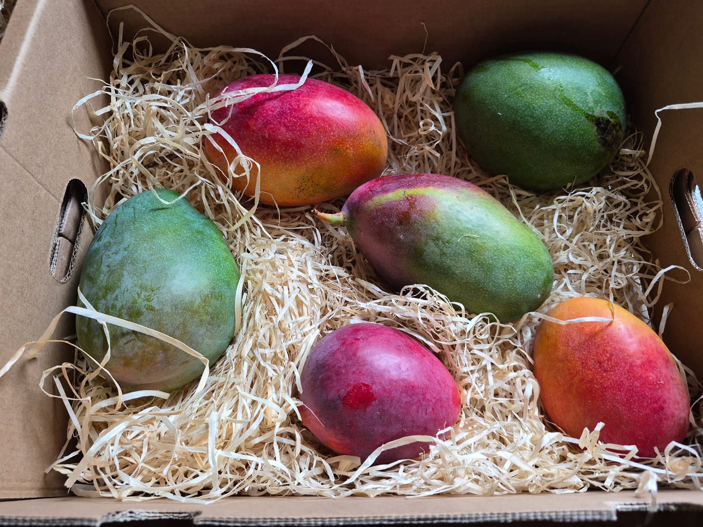 Customer photo review of Mango-Raritäten Mix von Julian Aktionswoche %