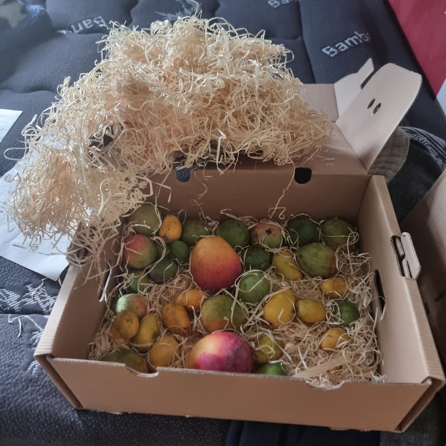 Customer photo review of Mini-Mango von Juan 3kg Retterbox %