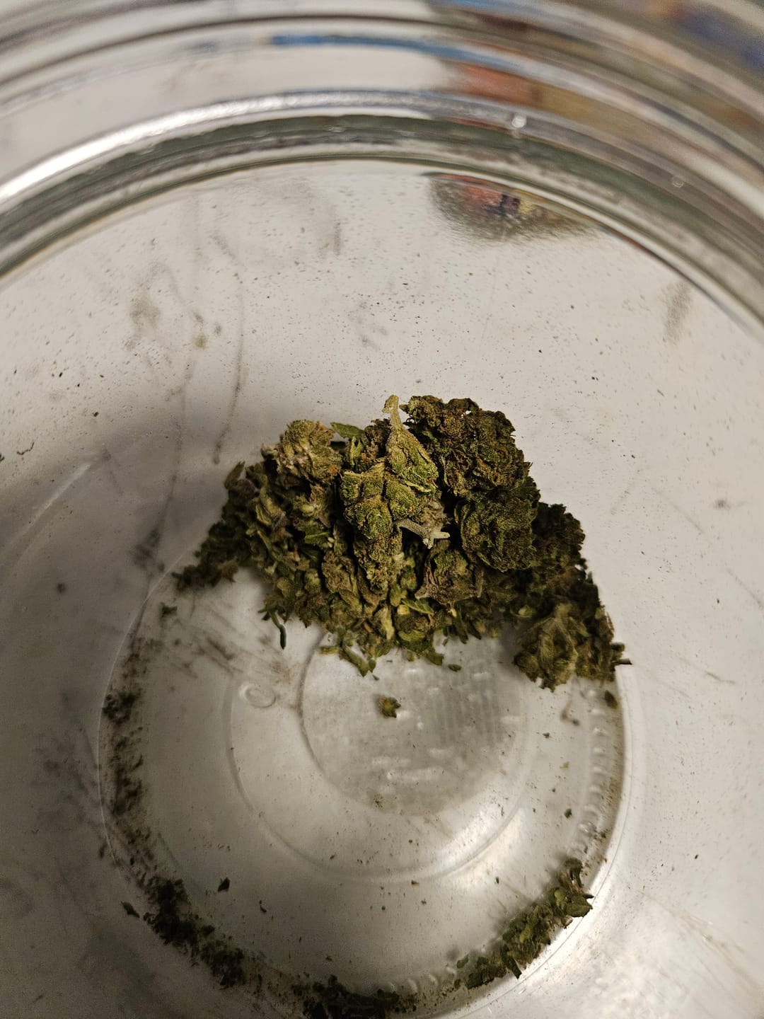 Customer photo review of KIND - Jungle Gelato - 28 Grams - Indica