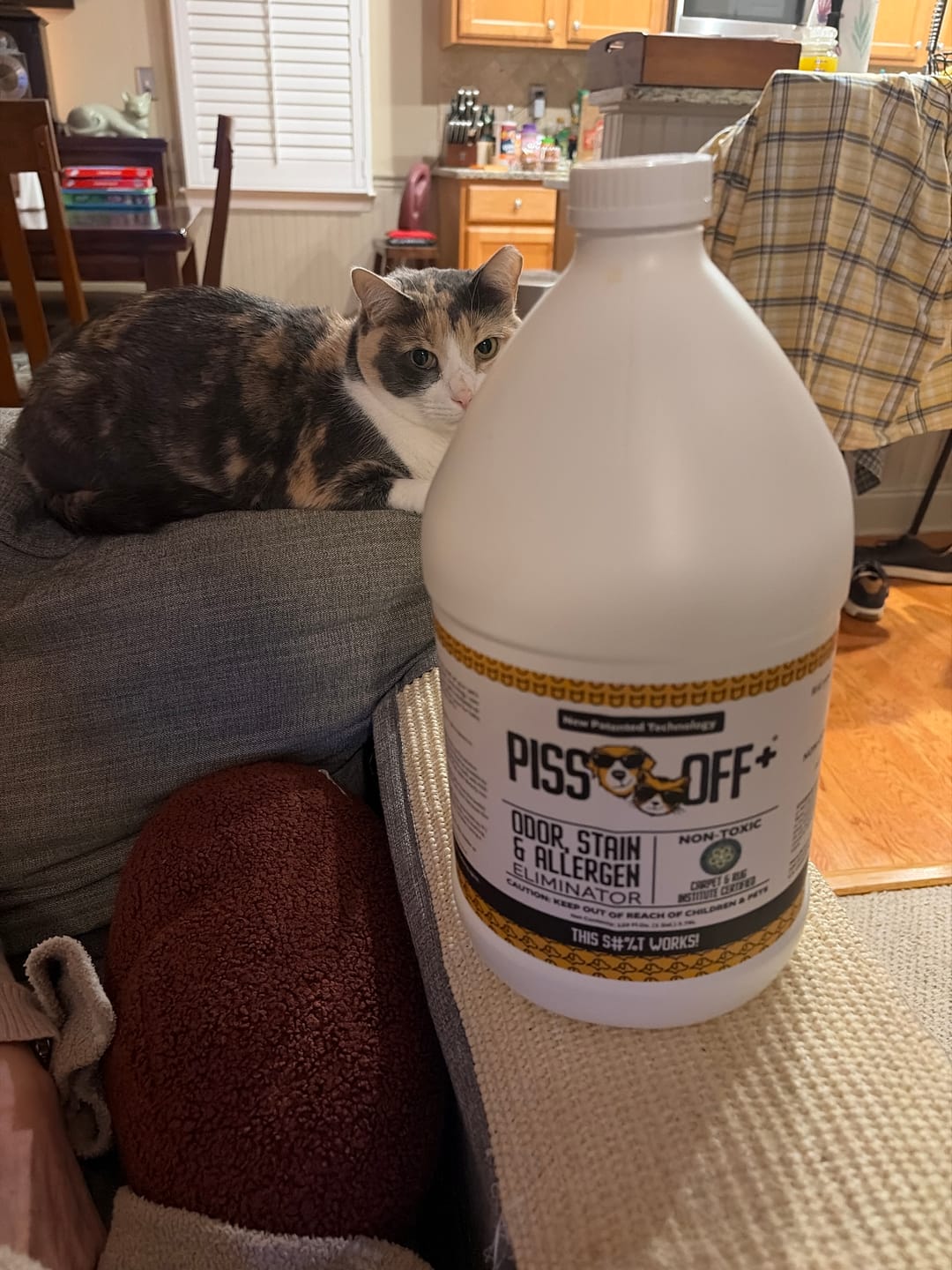 Customer photo review of 1 Gallon Jug PISS OFF+ All-Purpose Odor, Stain & Allergen Eliminator