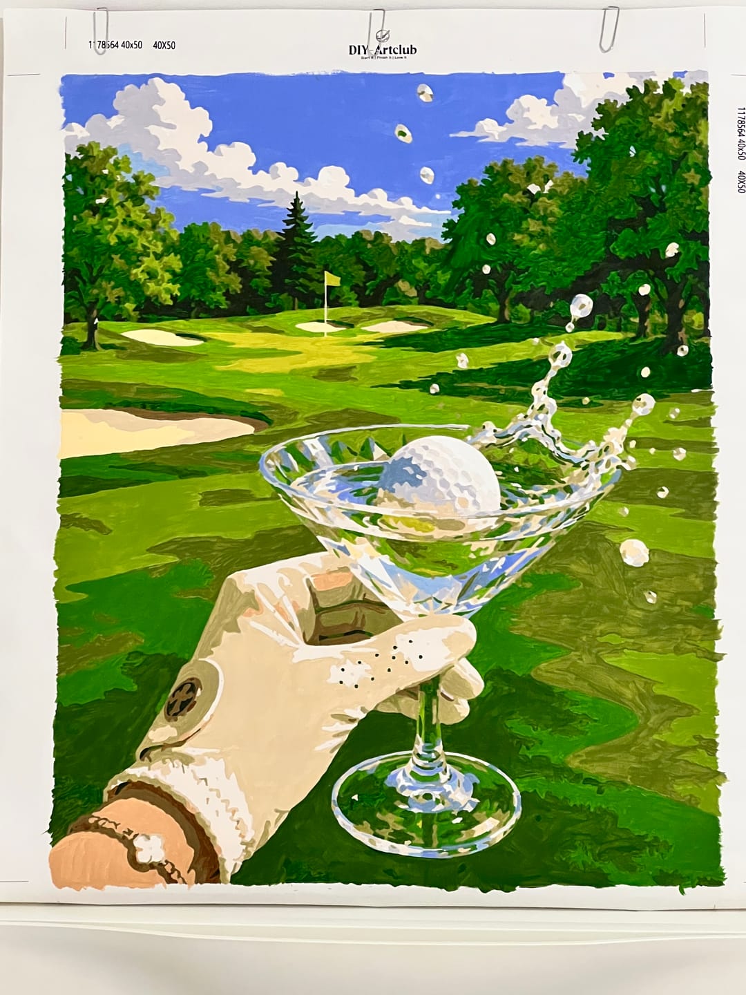 Customer photo review of Golf & Martini | Paint by Number