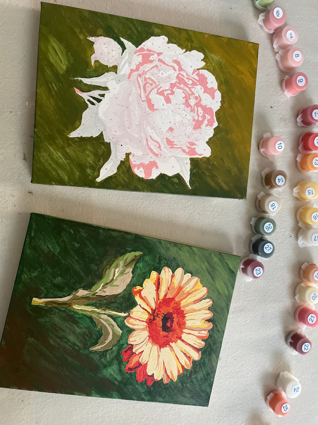 Customer photo review of Set of 6 Mini Paintings - Flowers
