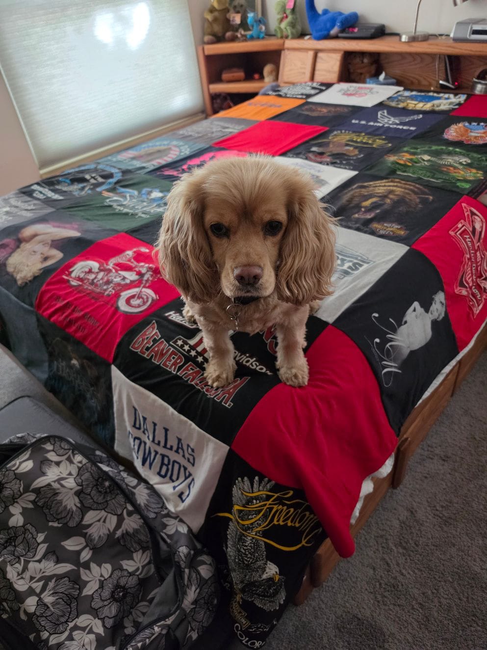 Customer photo review of Project Repat T-Shirt Quilt