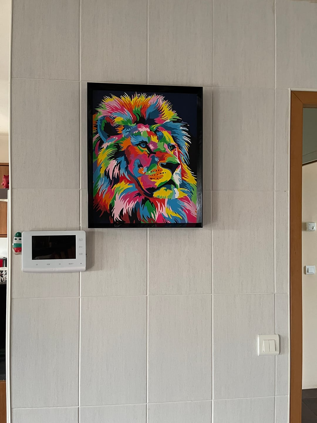 Customer photo review of Félin Pop Art