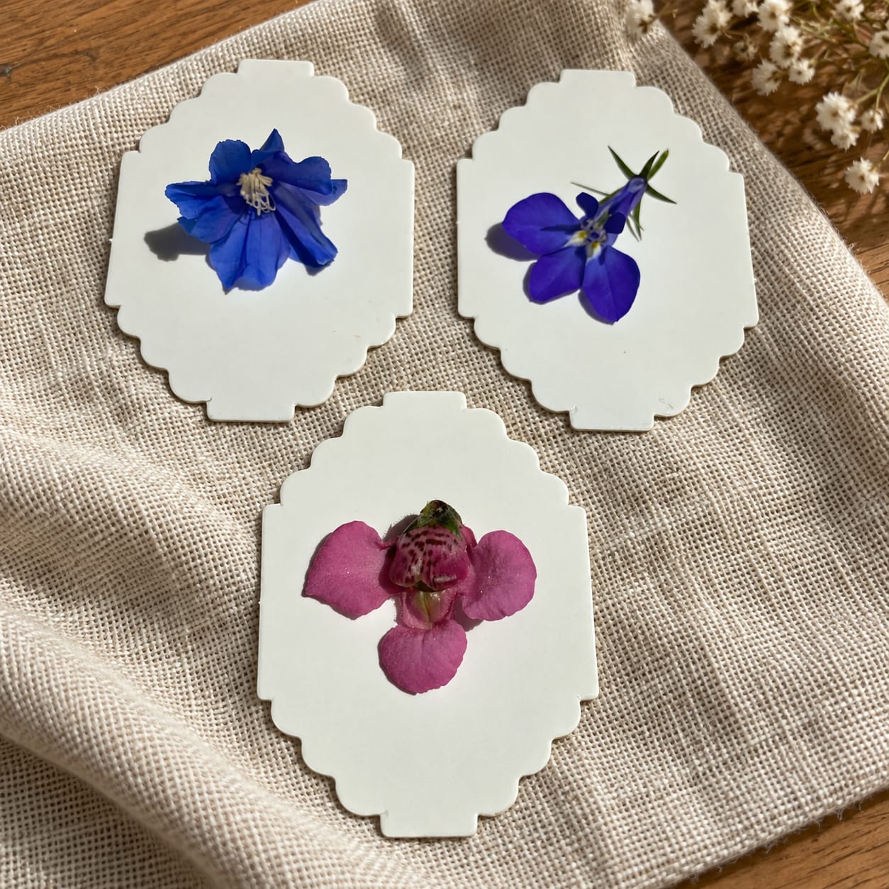 Customer photo review of BLÜTENPRESS Mini-Blumenpresse