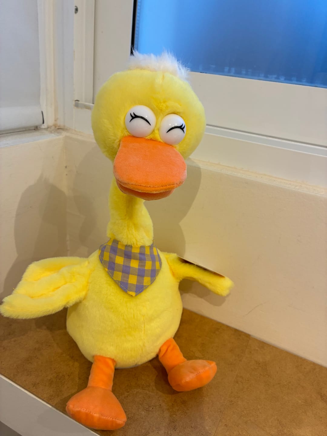 Customer photo review of 🐥 PATO BAILARÍN HABLADOR