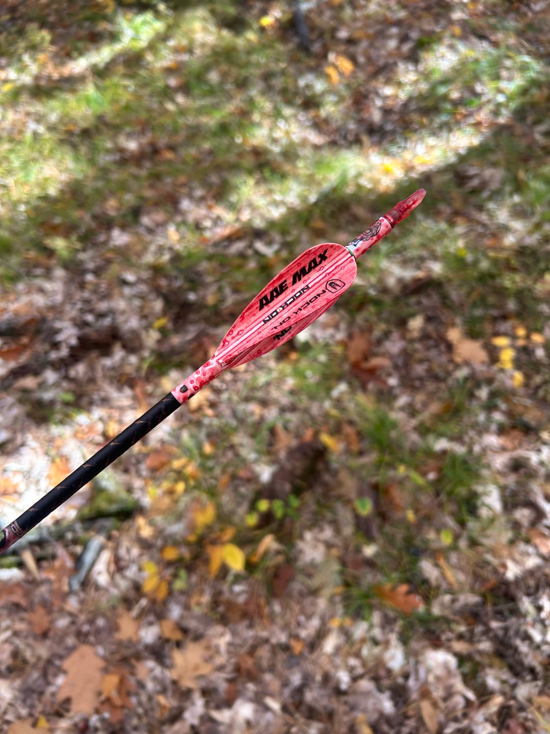 Customer photo review of Aluminum Broadheads