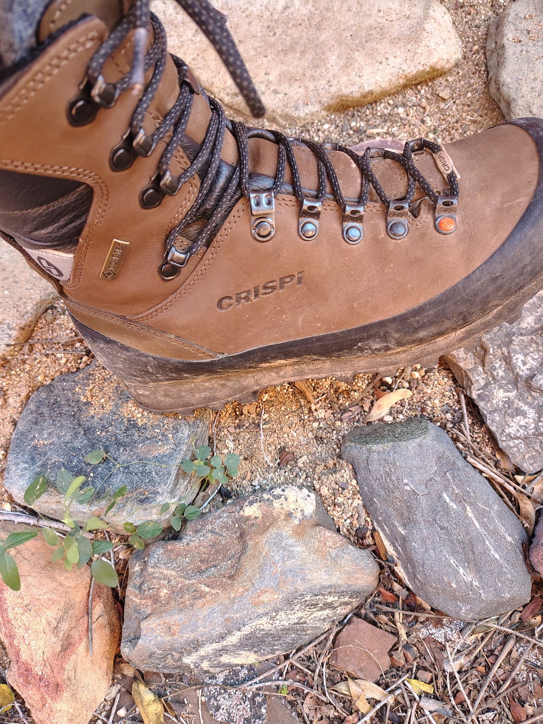 Customer photo review of Crispi Womens Skarven II Non-Insulated Hunting Boots