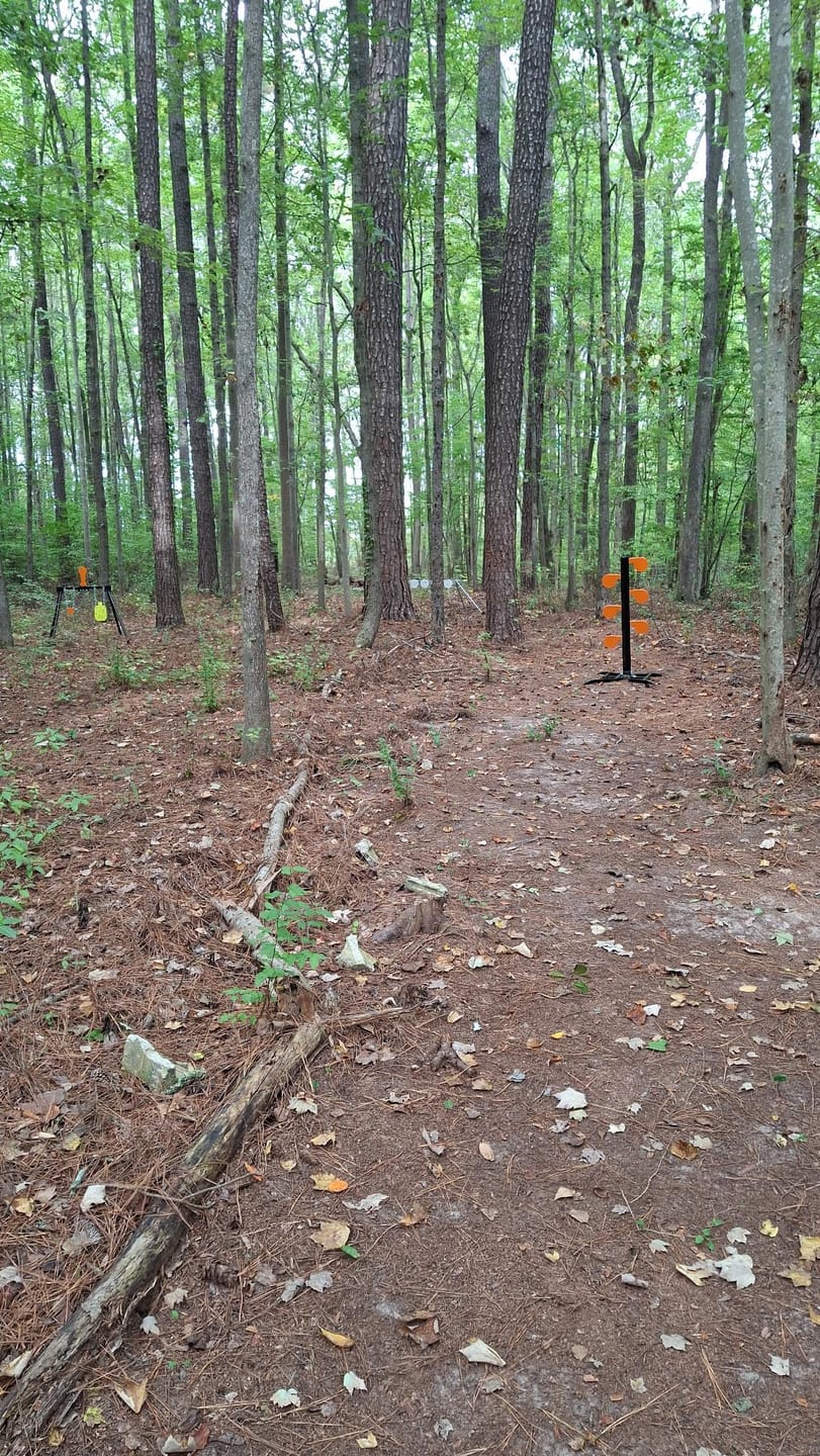 Customer photo review of 6" x 3/8" AR500 Steel Target Dueling Tree Stand
