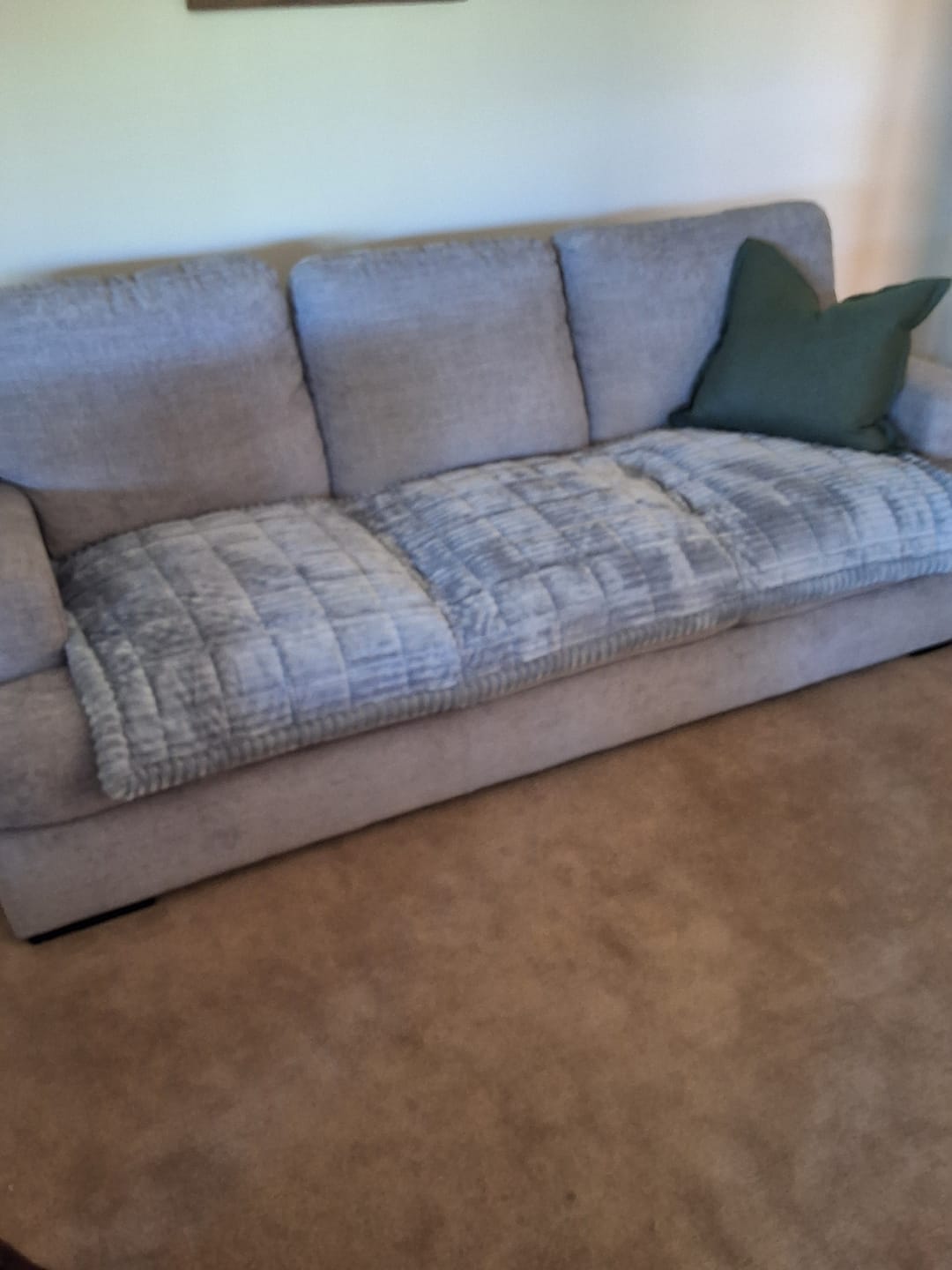 Customer photo review of Cosy Couch - Couch Cover