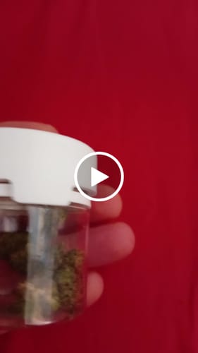 Customer video review of THC-A 34% Flower Do-Si-Dos x Gelato