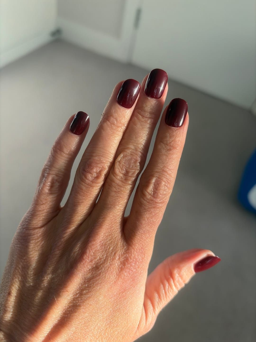 Customer photo review of Merlot