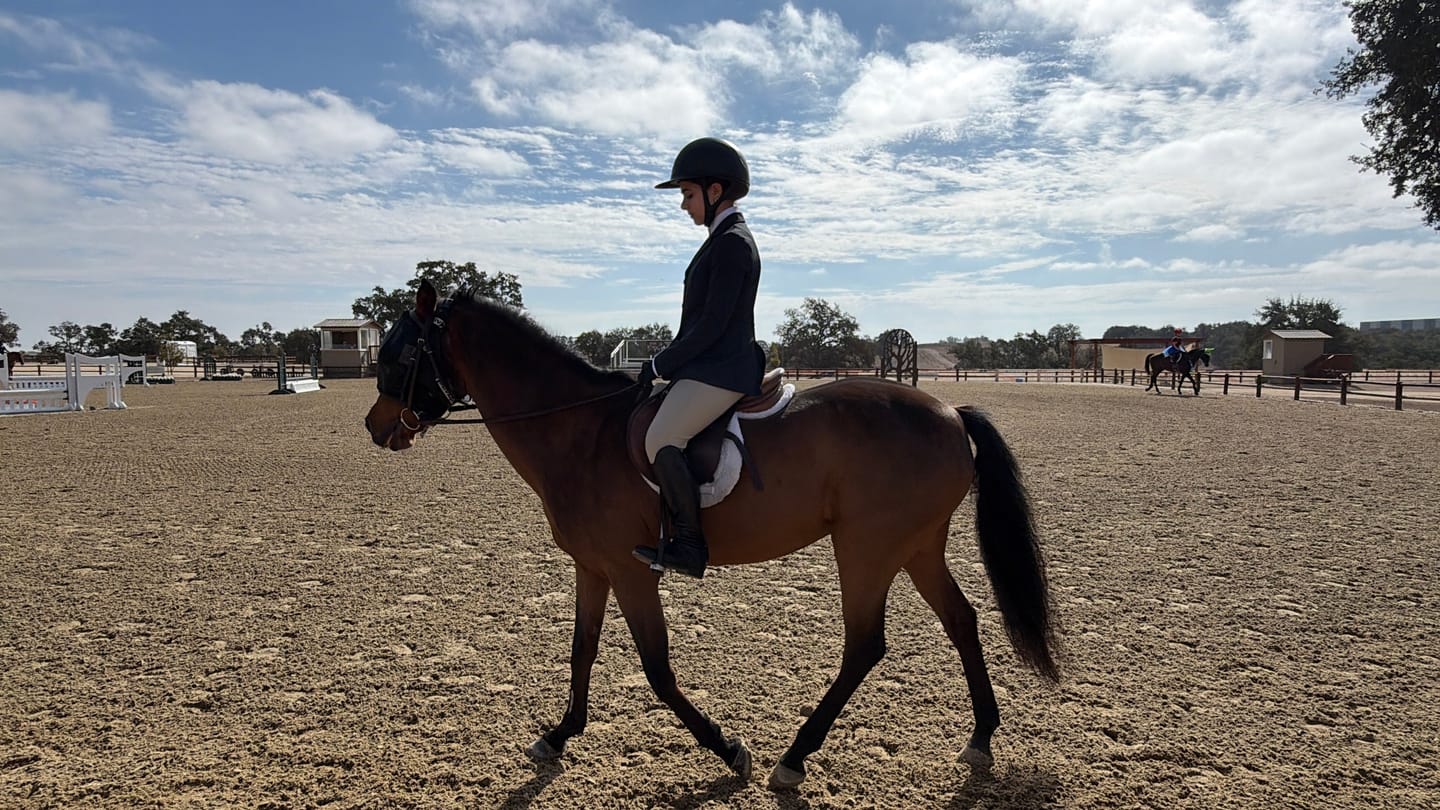 Customer photo review of Recovery Vizor - Clear UV Tint