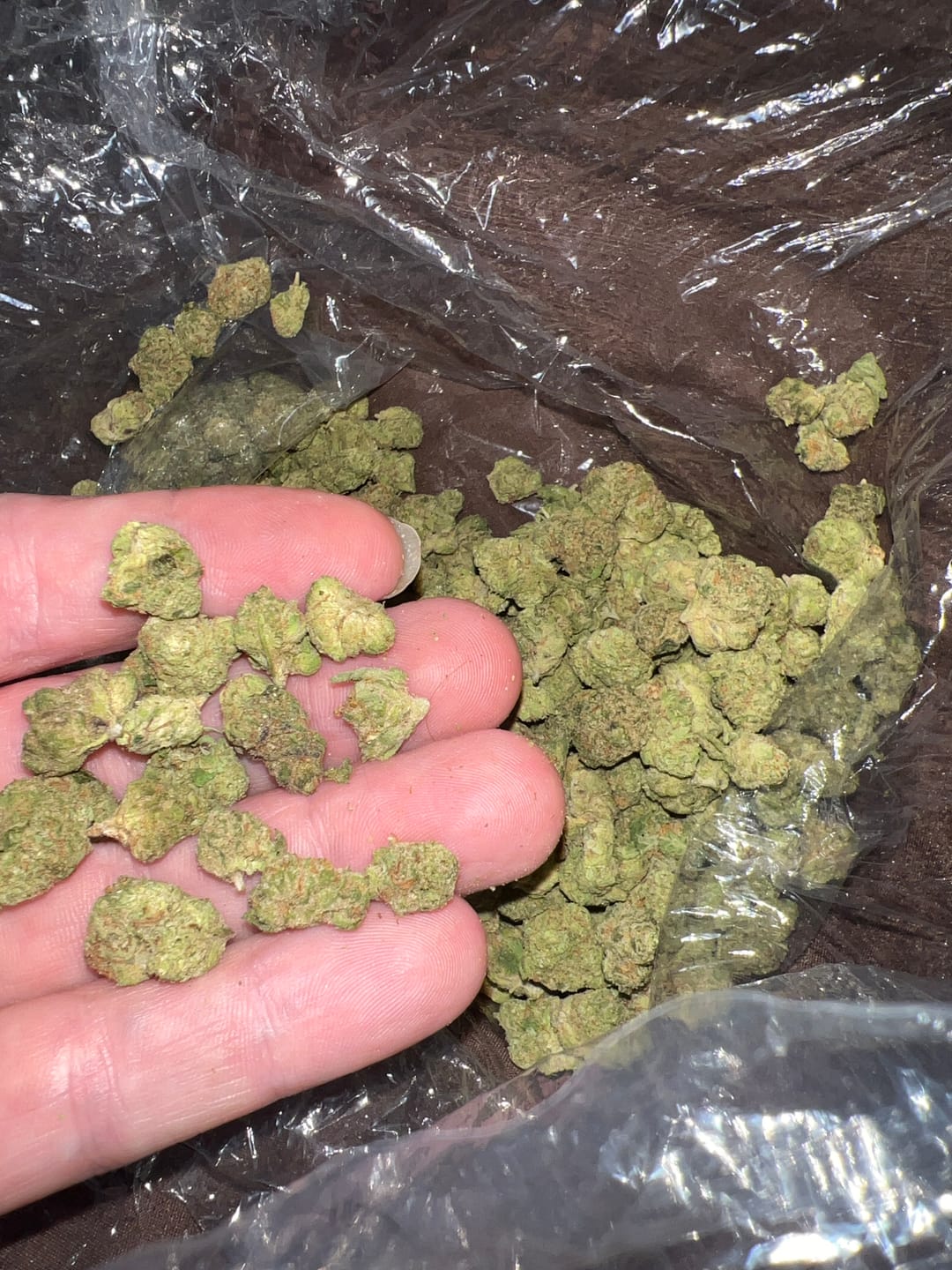 Customer photo review of Blueberry Lemon Bars Minis - Bulk Minis - Hybrid