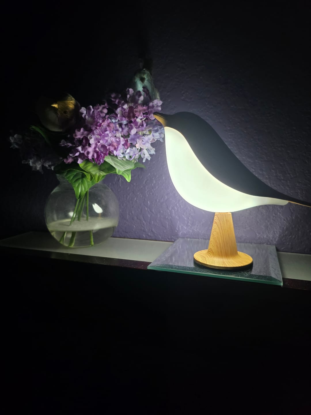 Customer photo review of Glow Bird