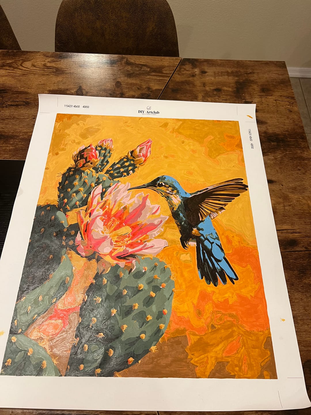 Customer photo review of Mexican Nature | Paint by Number
