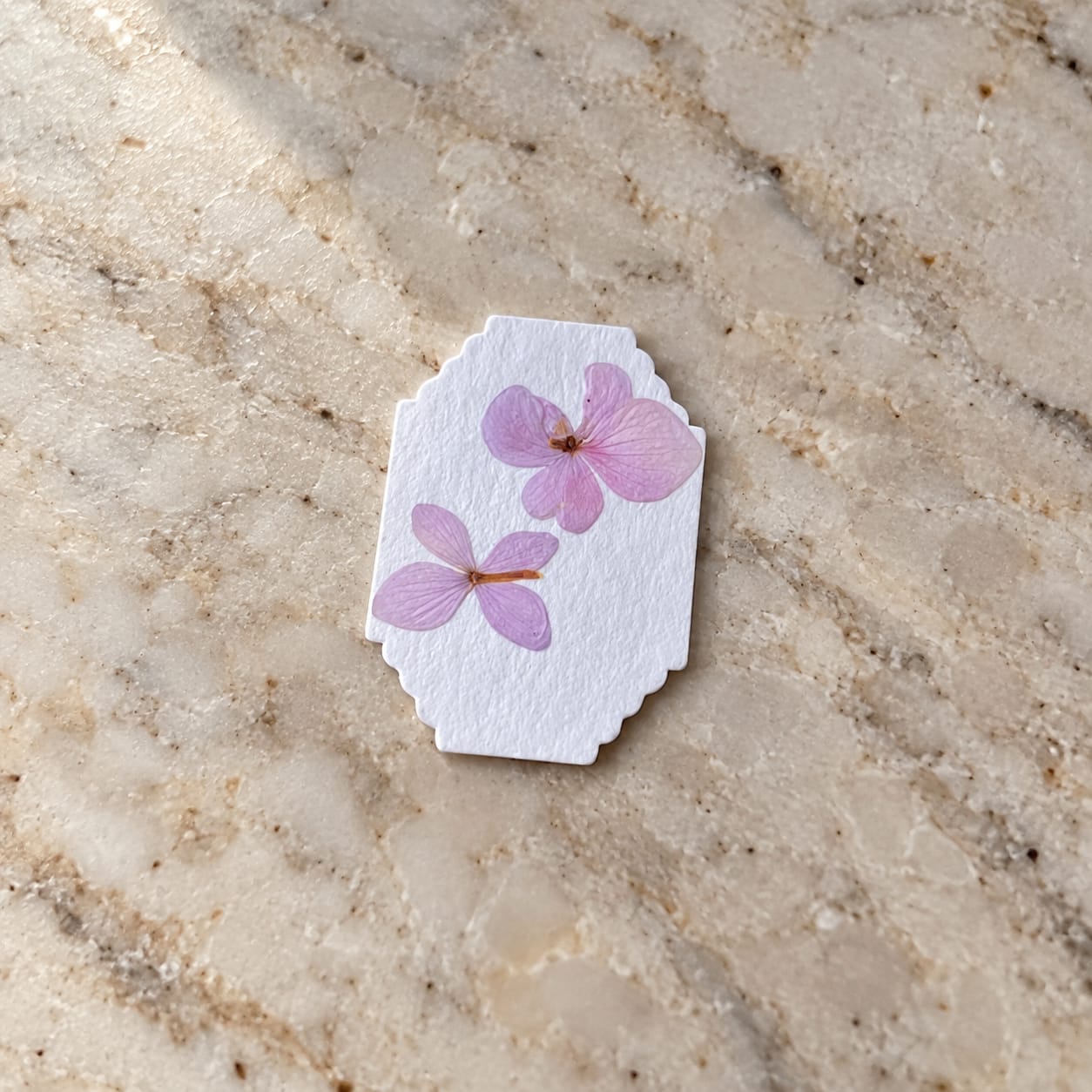 Customer photo review of BLÜTENPRESS Mini-Blumenpresse