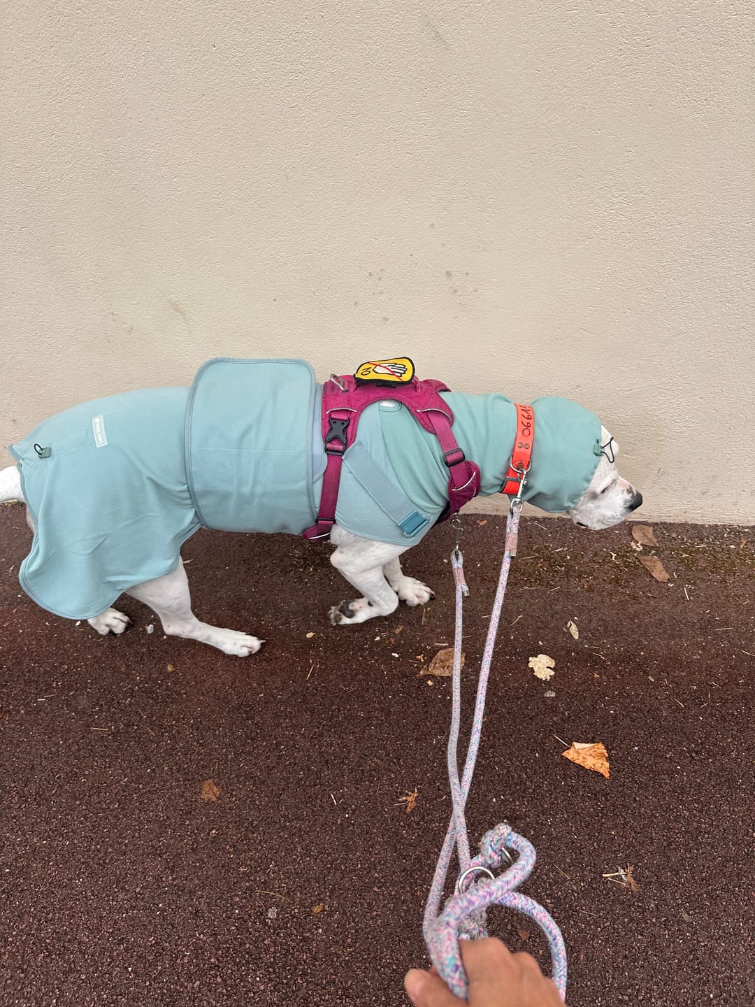 Customer photo review of Anxiety Calming Suit