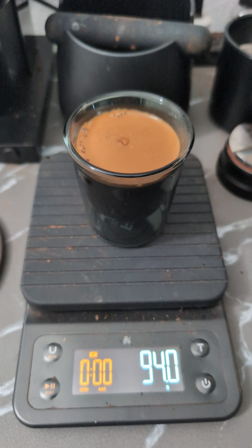 Customer photo review of FLUR Cortado Glasses