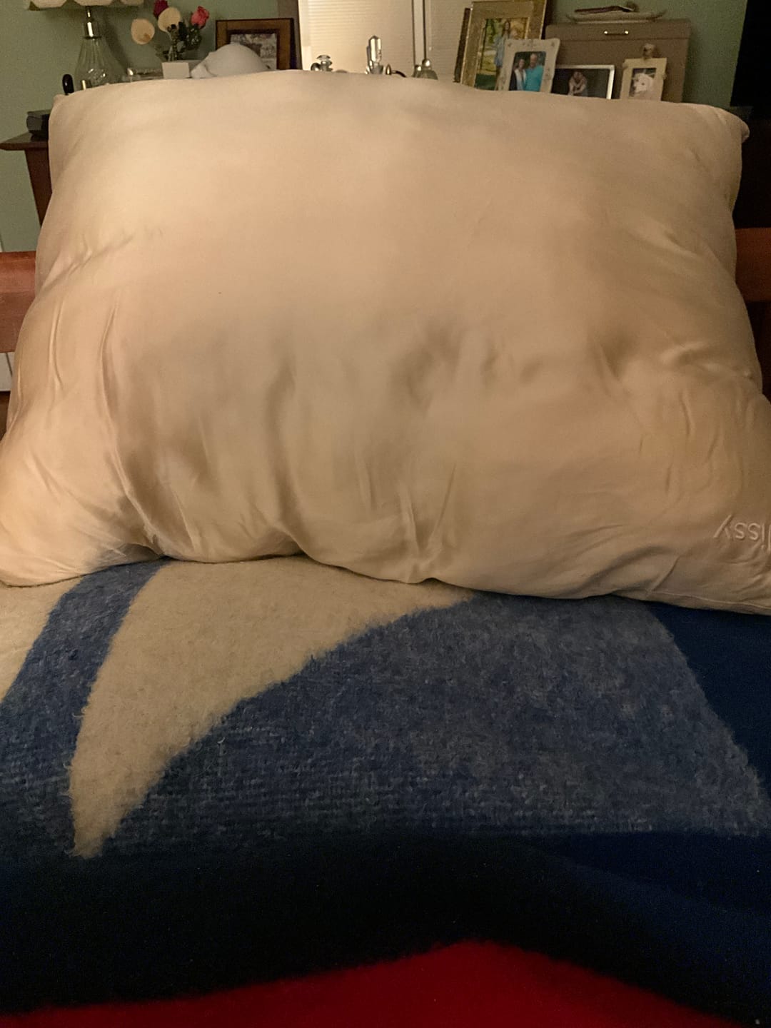 Customer photo review of Puff Pillow