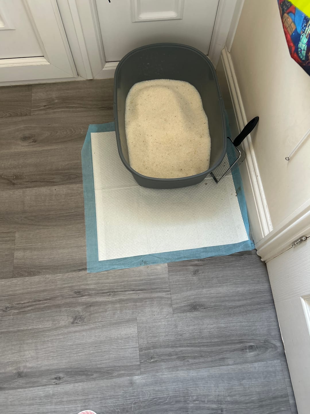 Customer photo review of Fit Litter