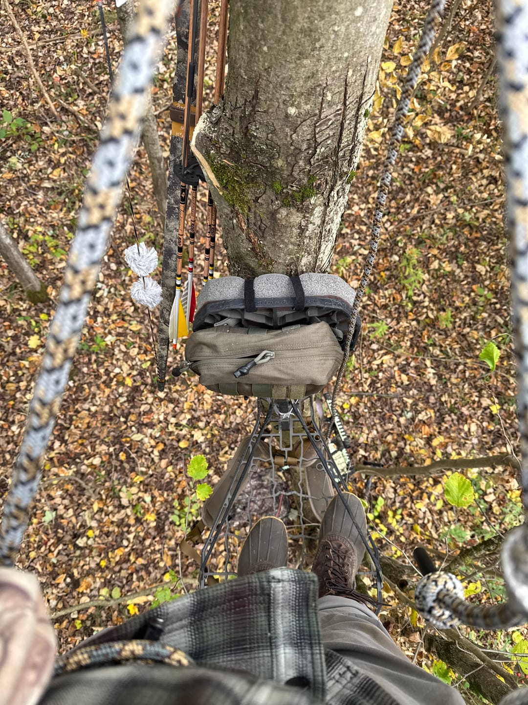 Customer photo review of Cam Strap