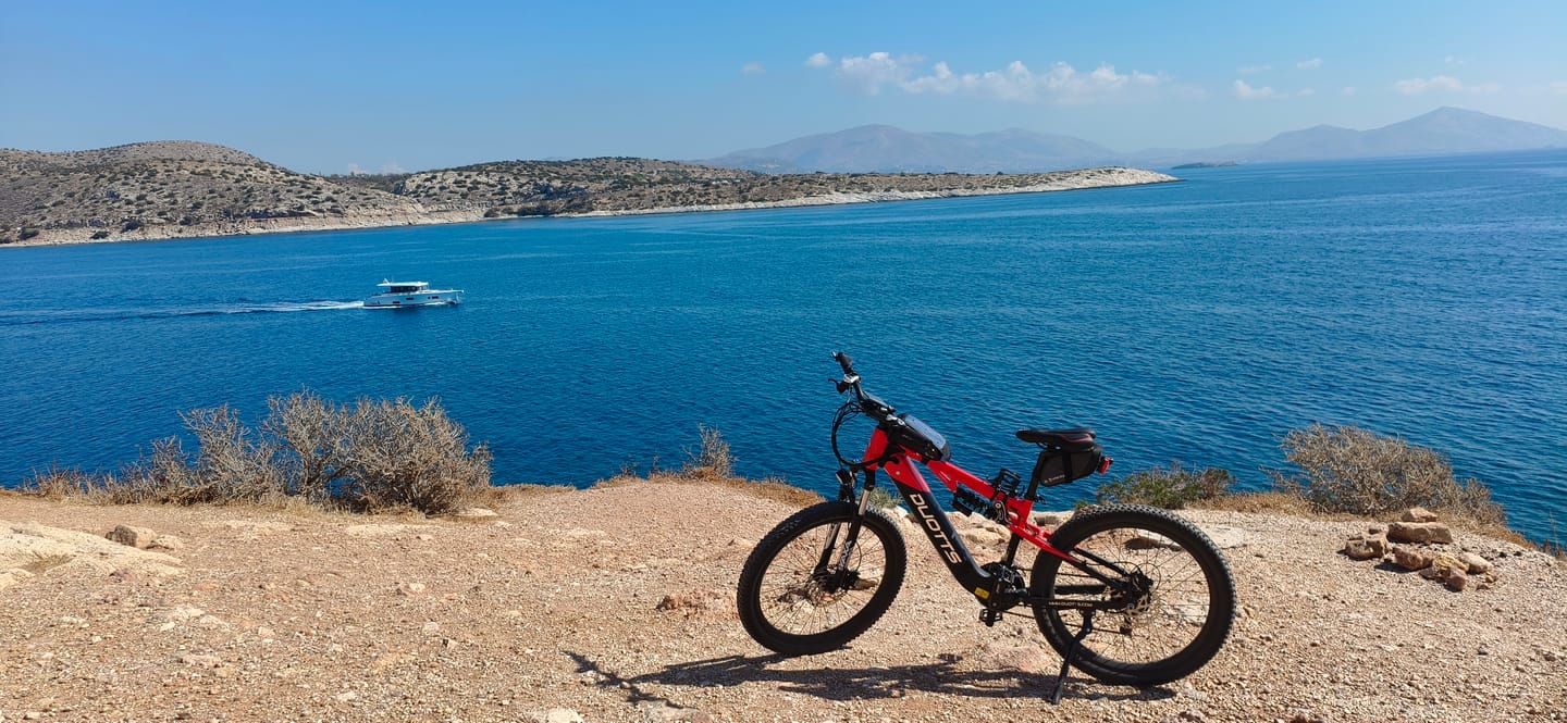 Customer photo review of DUOTTS E29 Electric Bike