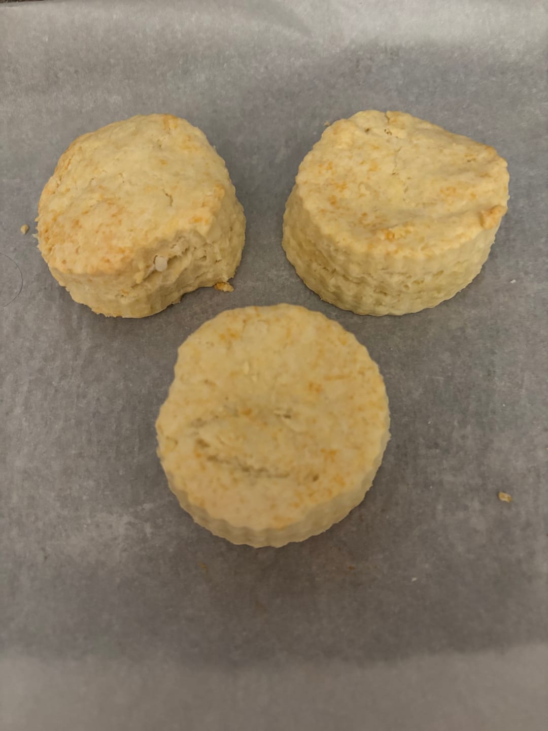 Customer photo review of gfJules All Purpose Gluten Free Flour