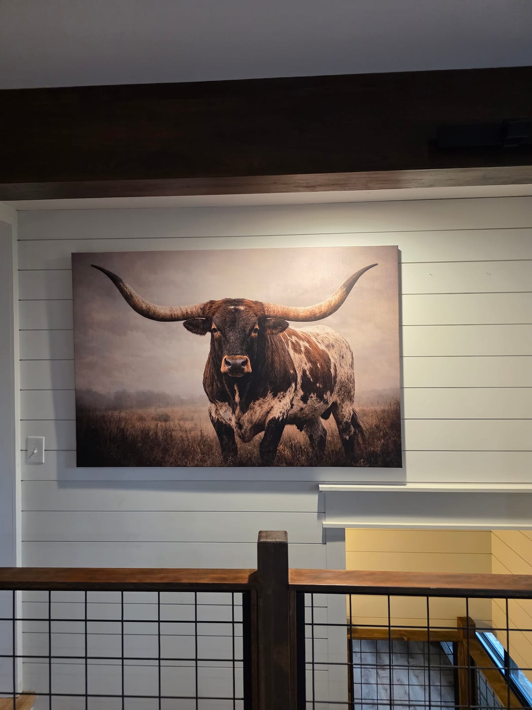 Customer photo review of Longhorn Bull Wall Art Canvas Print, Western Farmhouse Decor