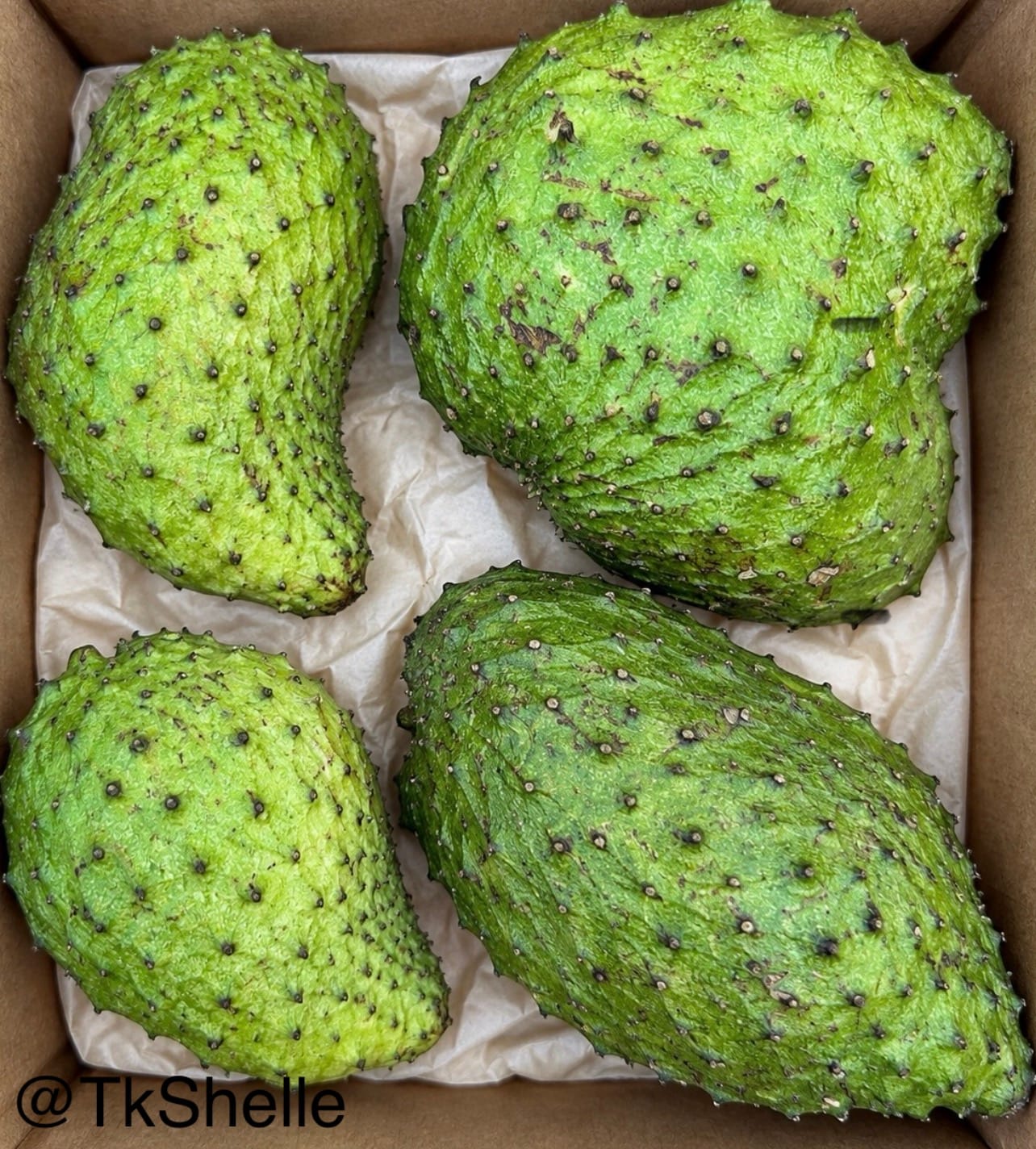 Customer photo review of Premium Soursop (Guanabana)