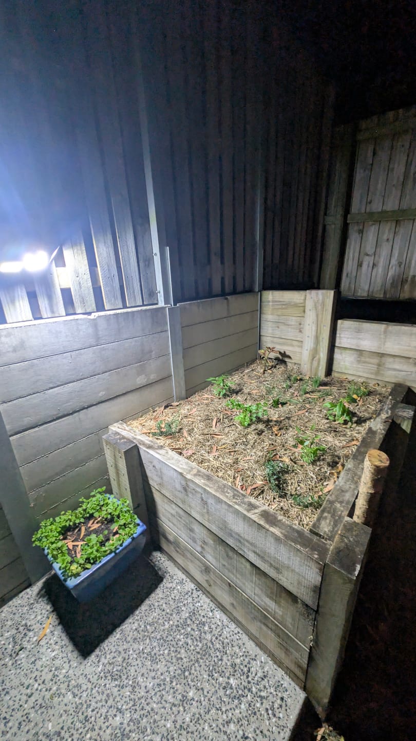 Customer photo review of GardenBrite™ LED Solar Motion Sensor Light