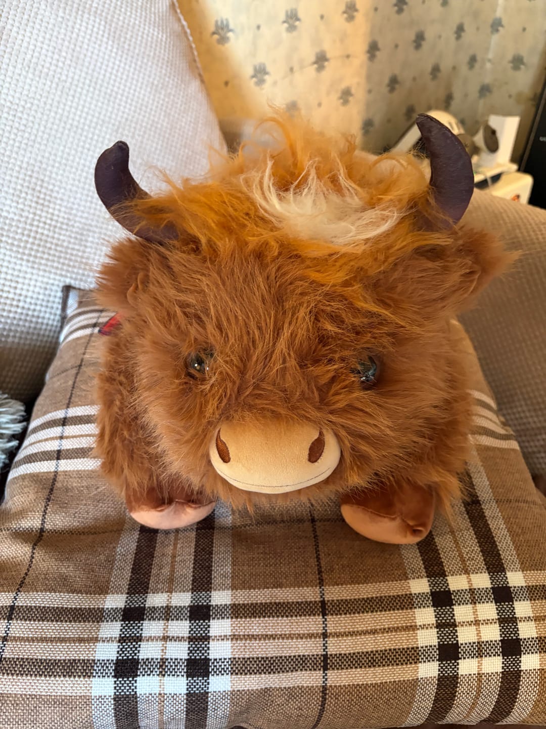 Customer photo review of Highland Cow Weighted Stuffed Animal