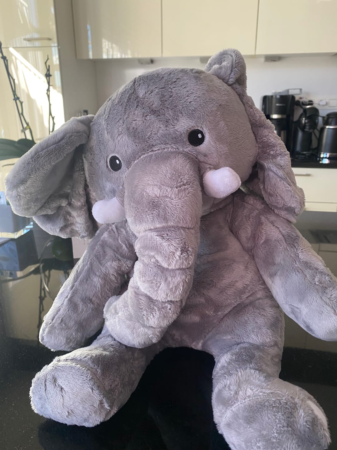 Customer photo review of Lotgenootje Olifant 2kg
