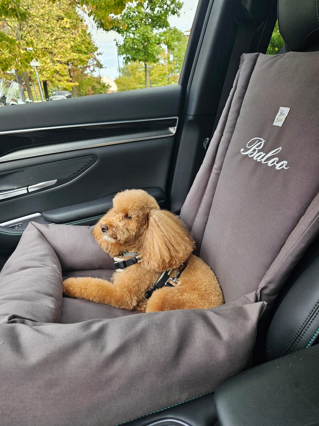 Customer photo review of Seggiolino Auto in Tessuto Dralon Grigio Elegance