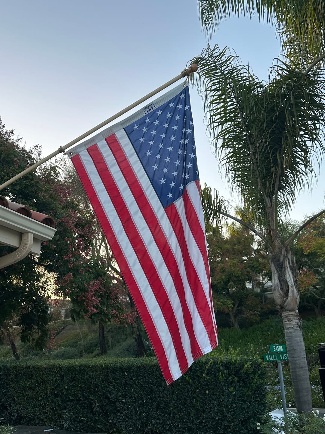 Customer photo review of 3' x 5' American Flag Set