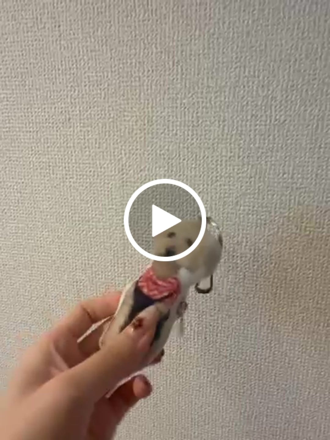 Customer video review of 世界にひとつだけ♪好きな写真で作るオーダーメイドクッション（20～80cm）