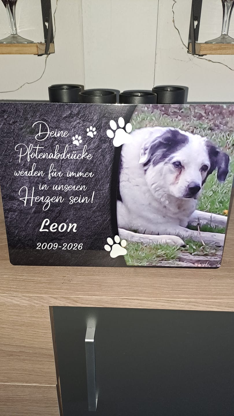 Customer photo review of Hunde Gedenktafel mit Foto & Spruch (UV- & Wetterfest)