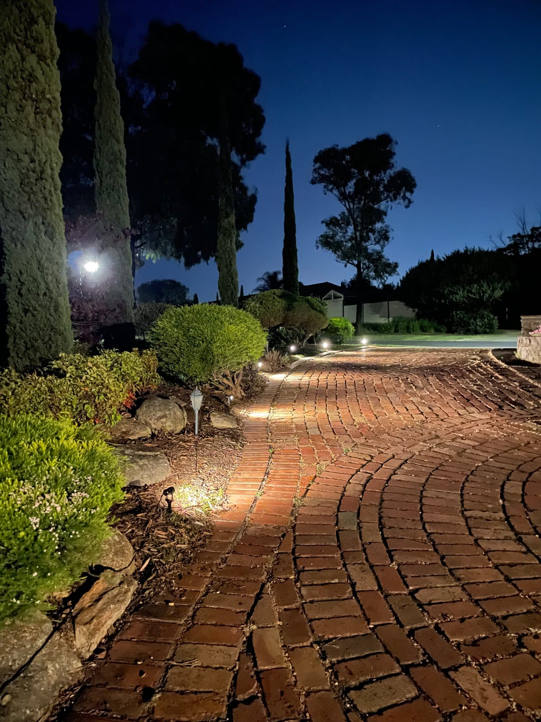 Customer photo review of GardenBrite™ Solar Spotlight Pack