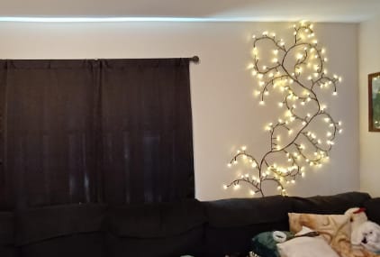 Customer photo review of MerryTwig Christmas Branch Lights