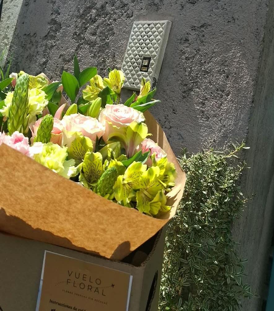 Customer photo review of Ornithogalum