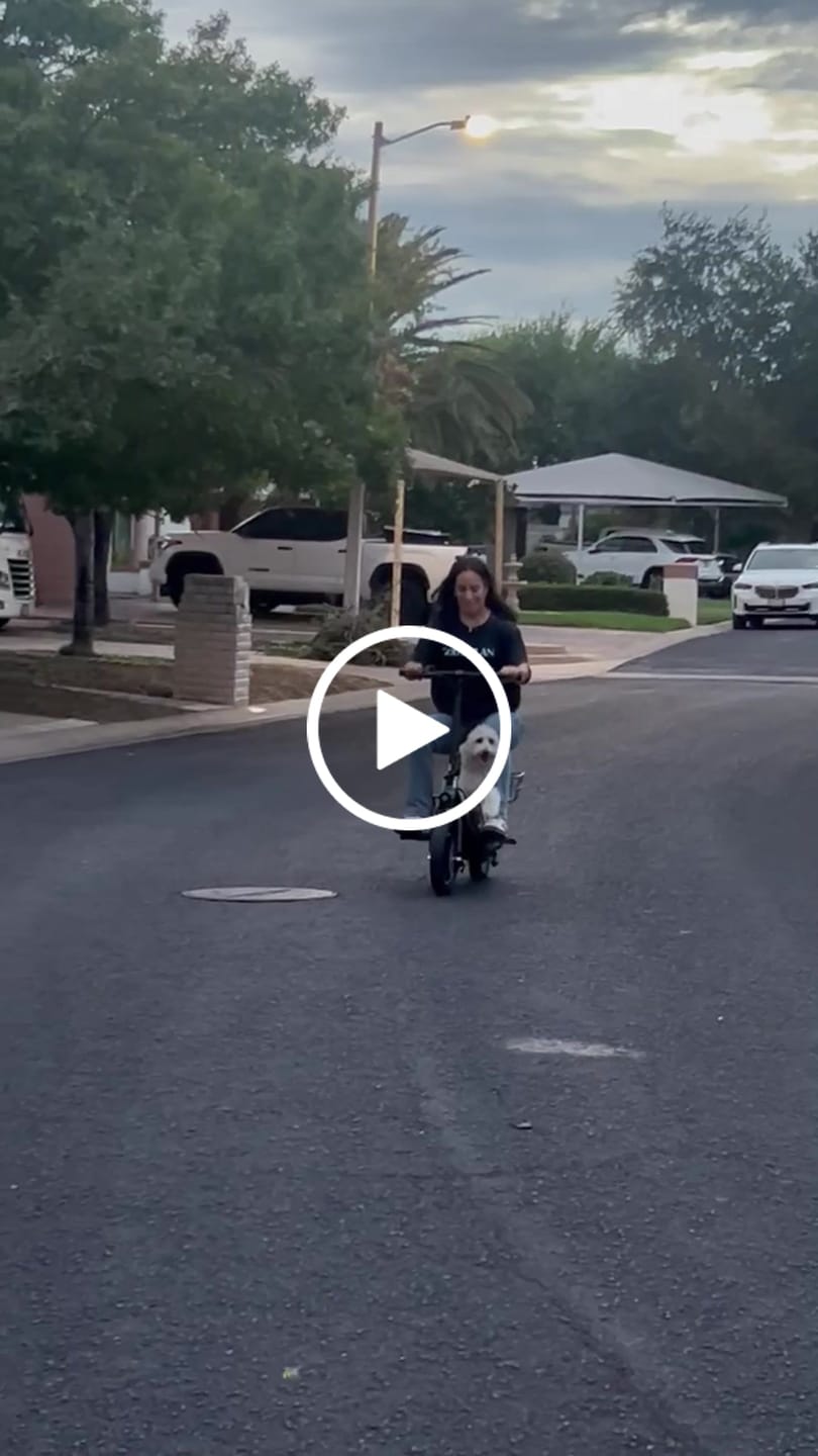 Customer video review of Gyroor C1S Electric Scooter – 800W(Peak),Front & Rear Baskets