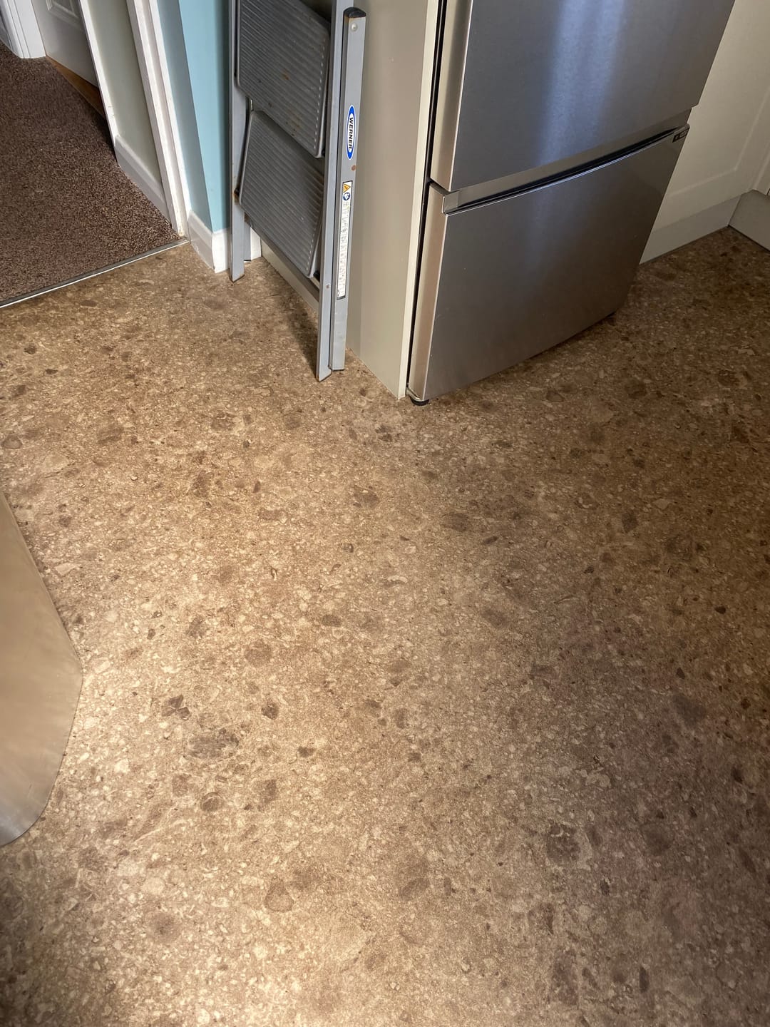 Customer photo review of Probiotic Floor Cleaner Concentrate