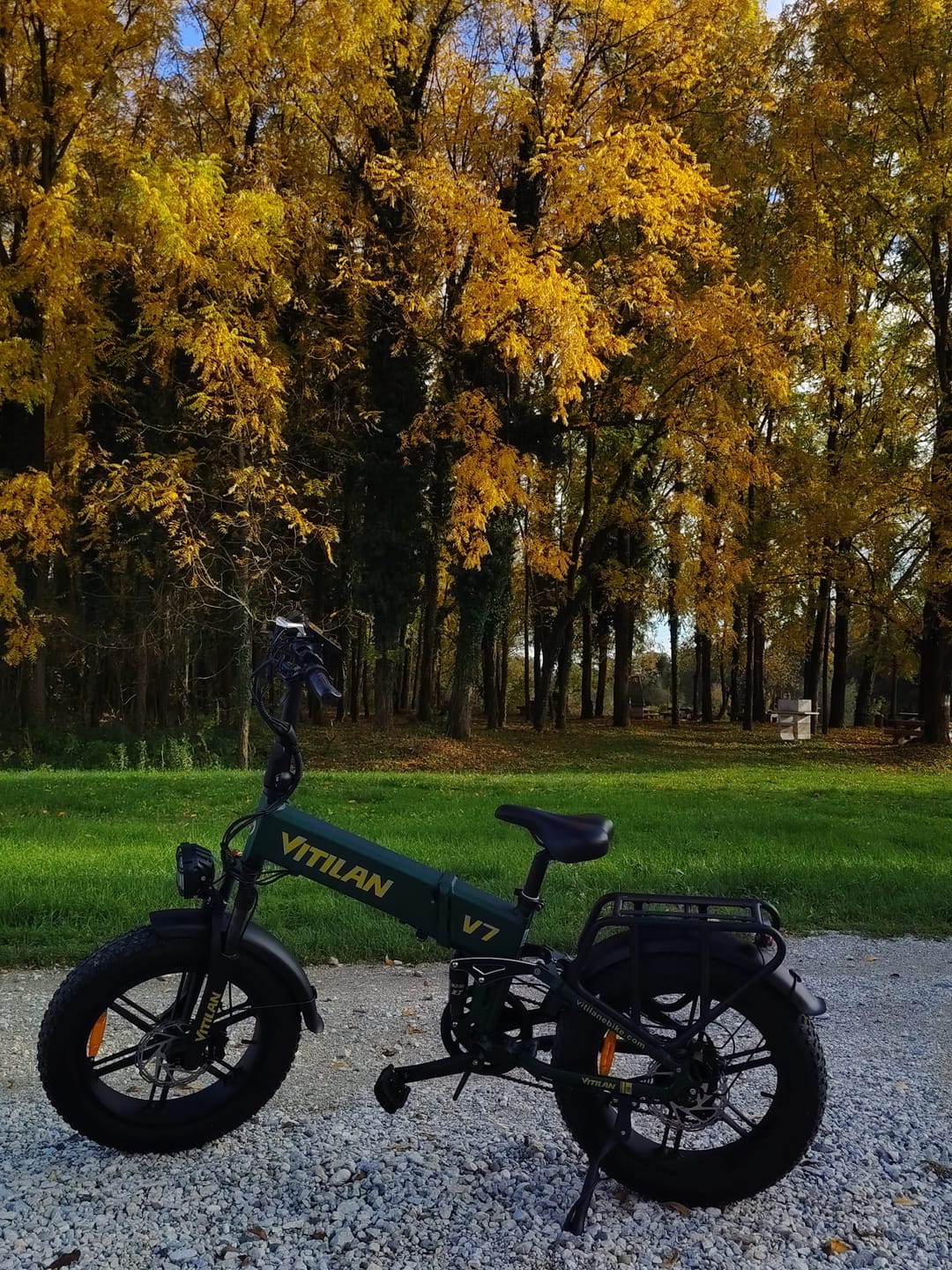 Customer photo review of V7 Electric Bike