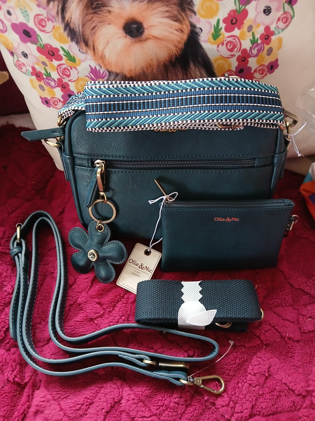 Customer photo review of the Ultimate Gigi Bundle - Teal