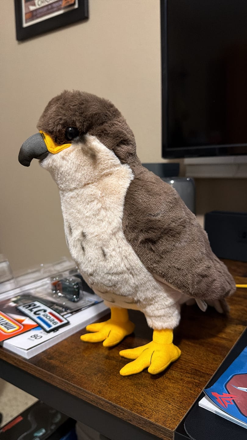 Customer photo review of Peregrine Falcon Bird Stuffed Plush Toy