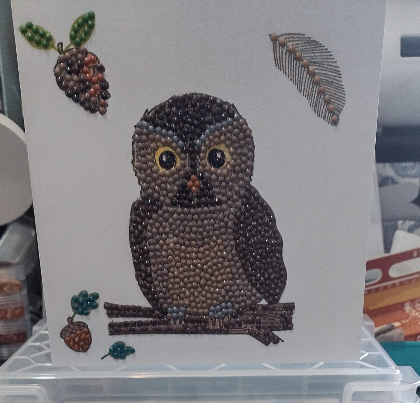 Customer photo review of Owl Winter Botanicals Crystal Art A6 Stamp Set