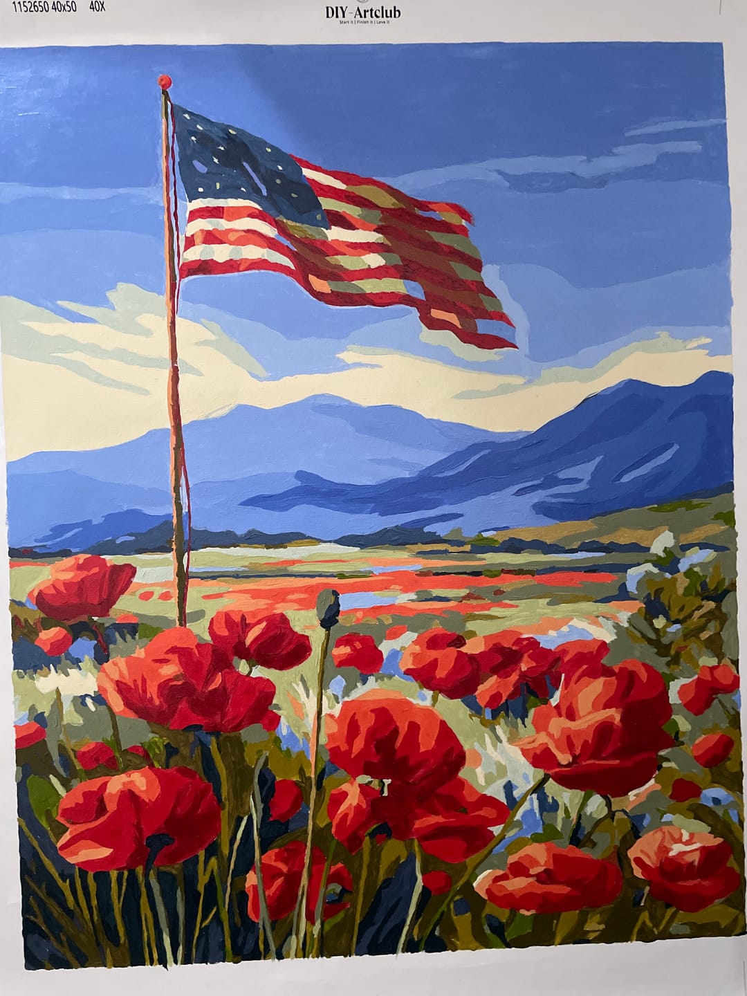 Customer photo review of Poppy field | Paint by Number