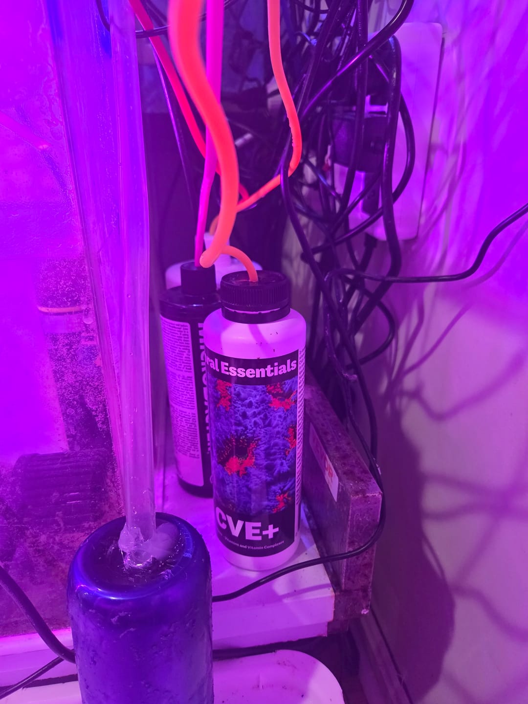 Customer photo review of Coral Essentials CVE+