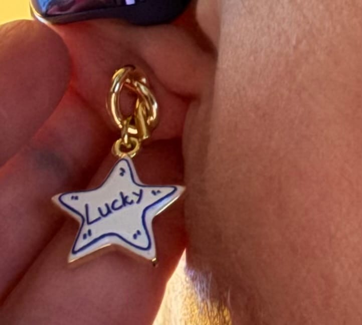 Customer photo review of Happy Lucky Star Earrings (SURPRISE)
